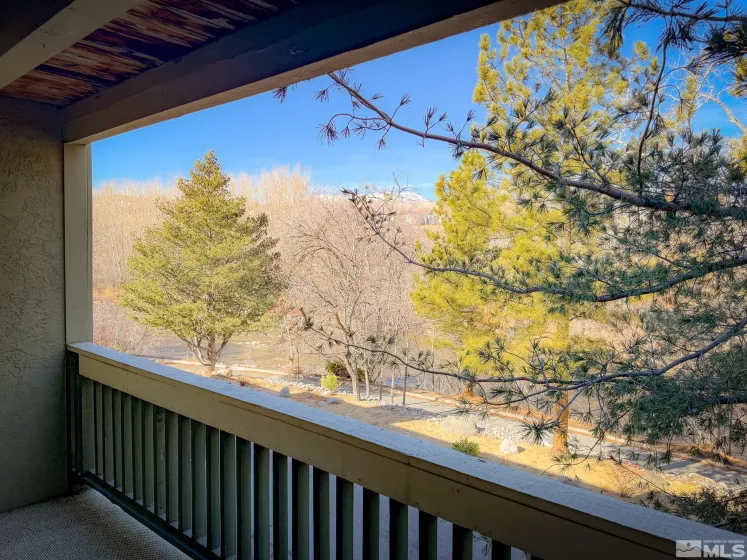 2855 Idlewild, Reno, Nevada 89509, 2 Bedrooms Bedrooms, ,2 BathroomsBathrooms,Residential,Residential,Idlewild,250001389