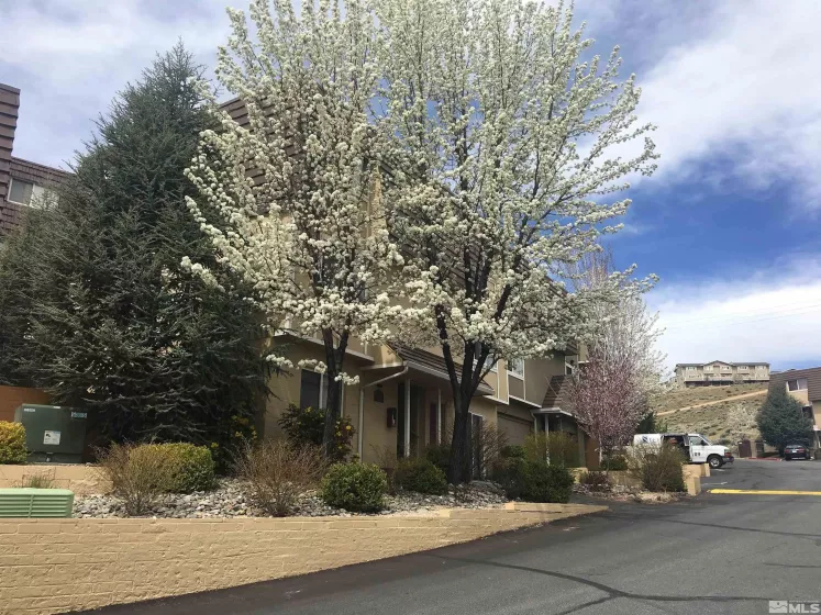 3905 Covington, Reno, Nevada 89503, 1 Bedroom Bedrooms, ,1 BathroomBathrooms,Residential,Residential,Covington,250000977
