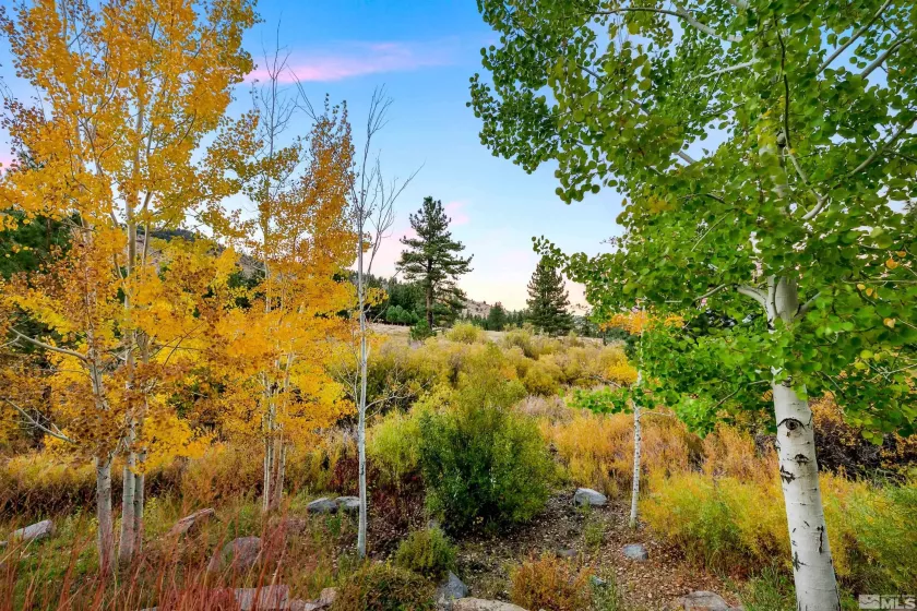 5775 Lausanne, Reno, Nevada 89511, 4 Bedrooms Bedrooms, ,6 BathroomsBathrooms,Residential,Residential,Lausanne,250000590