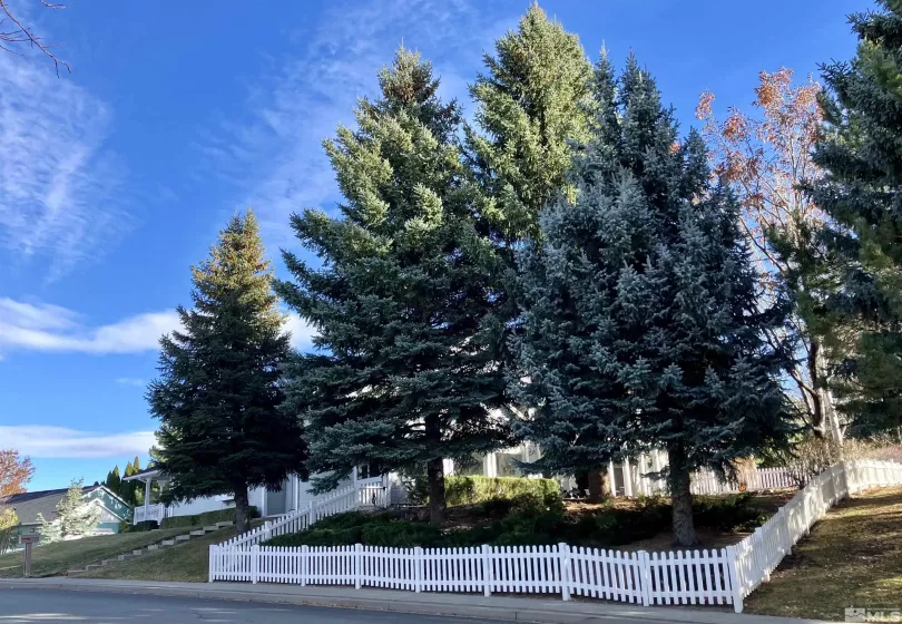 3678 Brighton, Reno, Nevada 89509, 3 Bedrooms Bedrooms, ,2 BathroomsBathrooms,Residential,Residential,Brighton,240014901
