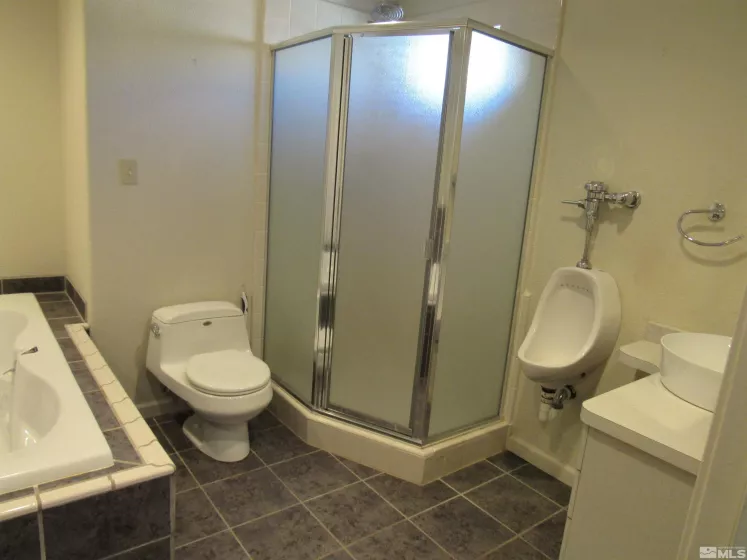 203 Willie, Dayton, Nevada 89403, 3 Bedrooms Bedrooms, ,2 BathroomsBathrooms,Residential,Residential,Willie,240014223