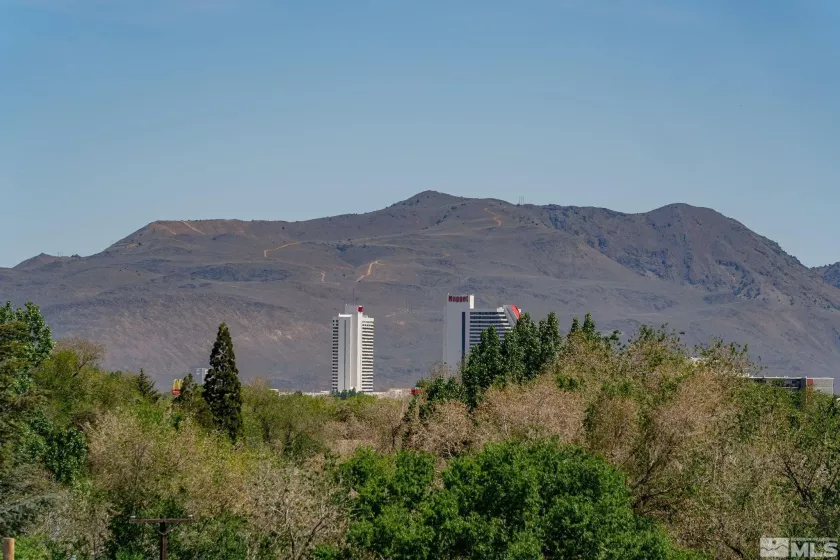 2090 Highview, Reno, Nevada 89512, 2 Bedrooms Bedrooms, ,2 BathroomsBathrooms,Residential,Residential,Highview,250006209
