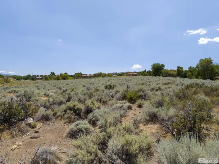 19 Glenhaven, Reno, Nevada 89511, ,Land,Residential,Glenhaven,240012638