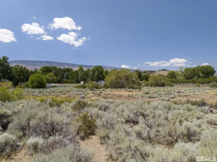 19 Glenhaven, Reno, Nevada 89511, ,Land,Residential,Glenhaven,240012638