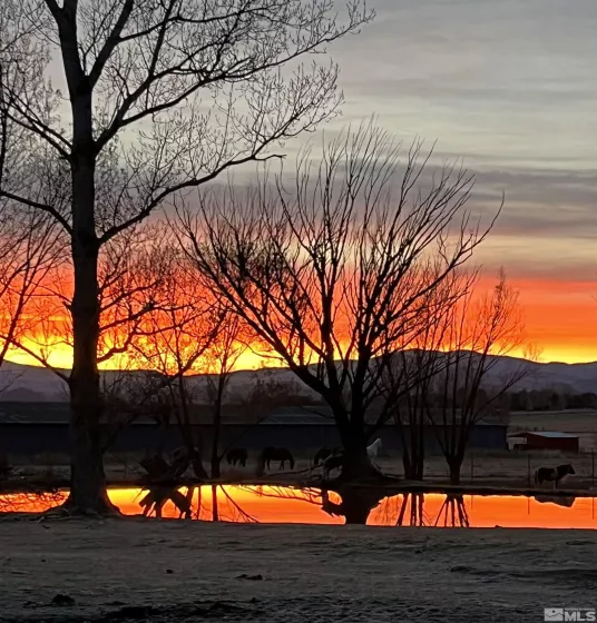 495 Green Acres, Gardnerville, Nevada 89460, 3 Bedrooms Bedrooms, ,2 BathroomsBathrooms,Residential,Residential,Green Acres,250005315
