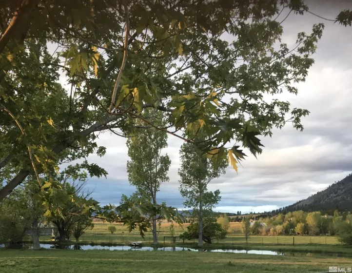 495 Green Acres, Gardnerville, Nevada 89460, 3 Bedrooms Bedrooms, ,2 BathroomsBathrooms,Residential,Residential,Green Acres,250005315