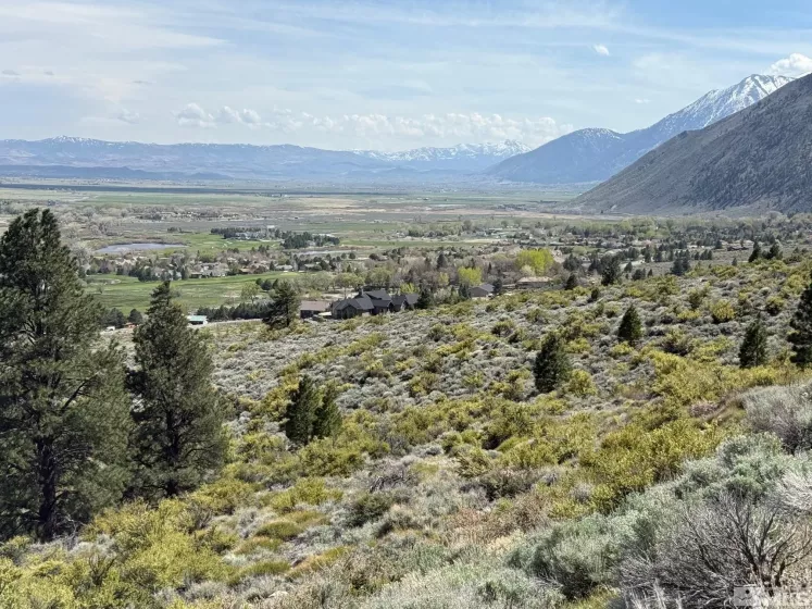 2582 Eagle, Genoa, Nevada 89411, ,Land,Residential,Eagle,250005287