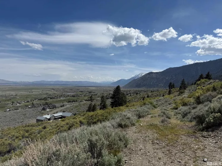 2582 Eagle, Genoa, Nevada 89411, ,Land,Residential,Eagle,250005287