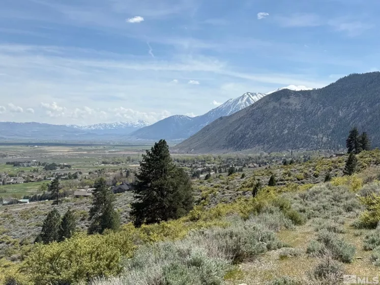 2582 Eagle, Genoa, Nevada 89411, ,Land,Residential,Eagle,250005287