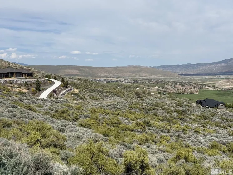 2582 Eagle, Genoa, Nevada 89411, ,Land,Residential,Eagle,250005287