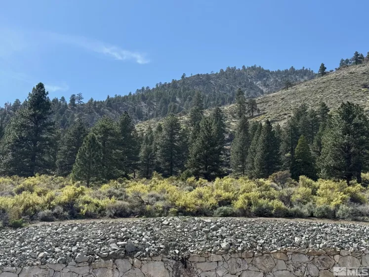 2582 Eagle, Genoa, Nevada 89411, ,Land,Residential,Eagle,250005287