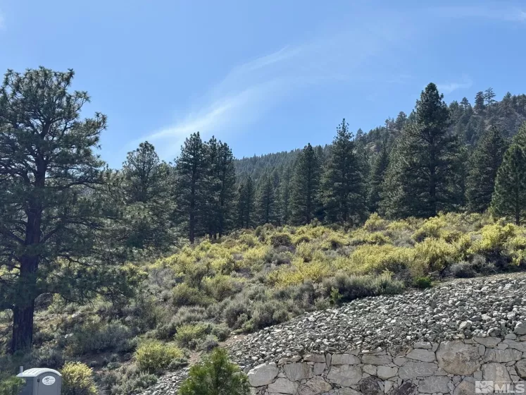 2582 Eagle, Genoa, Nevada 89411, ,Land,Residential,Eagle,250005287