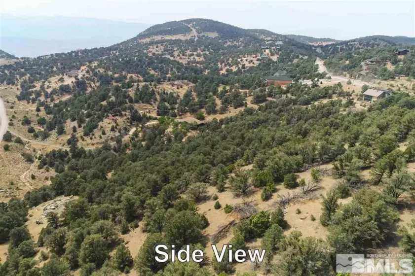 21455 Saddleback, Virginia City, Nevada 89521, ,Land,Residential,Saddleback,250003642