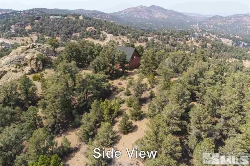 21455 Saddleback, Virginia City, Nevada 89521, ,Land,Residential,Saddleback,250003642