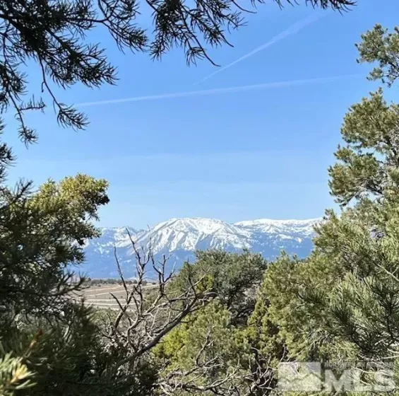 21455 Saddleback, Virginia City, Nevada 89521, ,Land,Residential,Saddleback,250003642