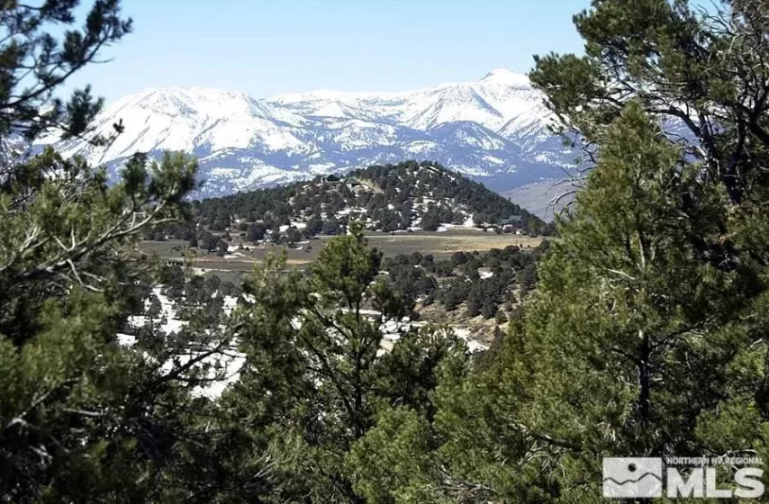 21455 Saddleback, Virginia City, Nevada 89521, ,Land,Residential,Saddleback,250003642