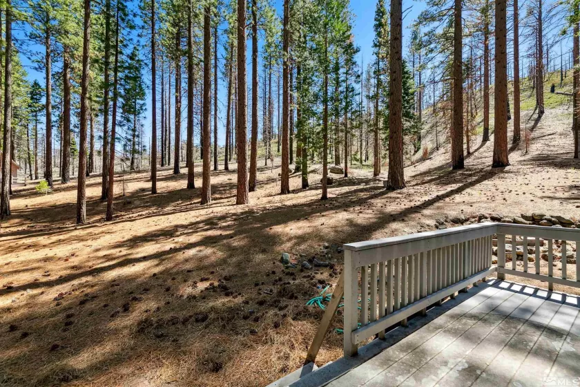 40 Shay Creek, Markleeville, California 96120, 2 Bedrooms Bedrooms, ,1 BathroomBathrooms,Residential,Residential,Shay Creek,250005198