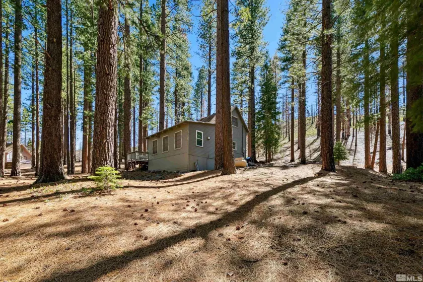 40 Shay Creek, Markleeville, California 96120, 2 Bedrooms Bedrooms, ,1 BathroomBathrooms,Residential,Residential,Shay Creek,250005198
