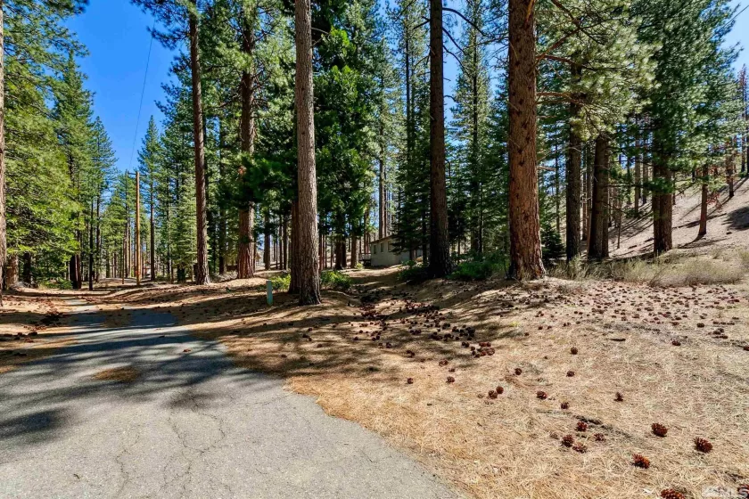 40 Shay Creek, Markleeville, California 96120, 2 Bedrooms Bedrooms, ,1 BathroomBathrooms,Residential,Residential,Shay Creek,250005198