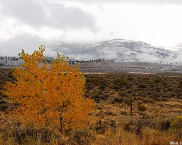 4006 Cold Springs, Reno, Nevada 89508, 4 Bedrooms Bedrooms, ,3 BathroomsBathrooms,Residential,Residential,Cold Springs,240012710