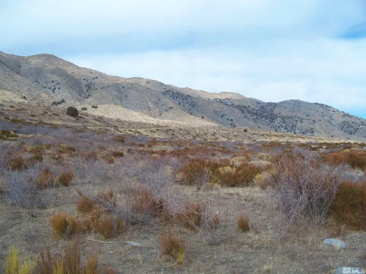 45 Snow, Reno, Nevada 89506, ,Land,Residential,Snow,250005274
