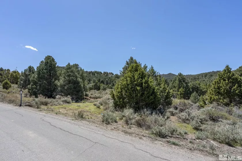 1850 Lousetown, Reno, Nevada 89521, ,Land,Residential,Lousetown,250004918