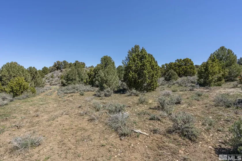 1850 Lousetown, Reno, Nevada 89521, ,Land,Residential,Lousetown,250004918