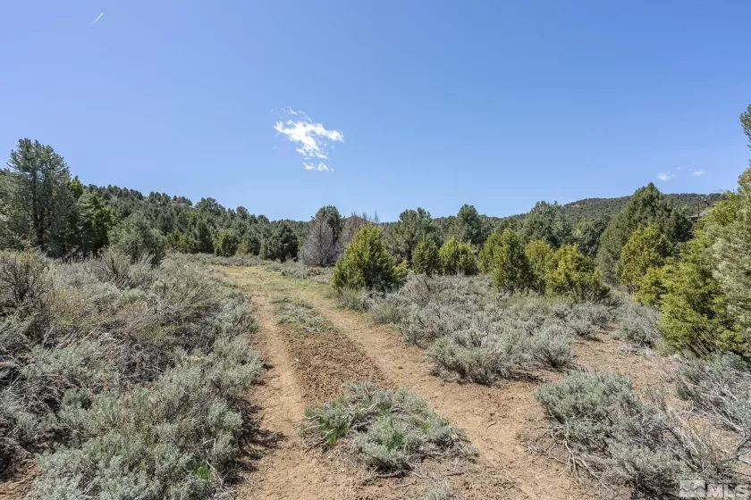 1850 Lousetown, Reno, Nevada 89521, ,Land,Residential,Lousetown,250004918