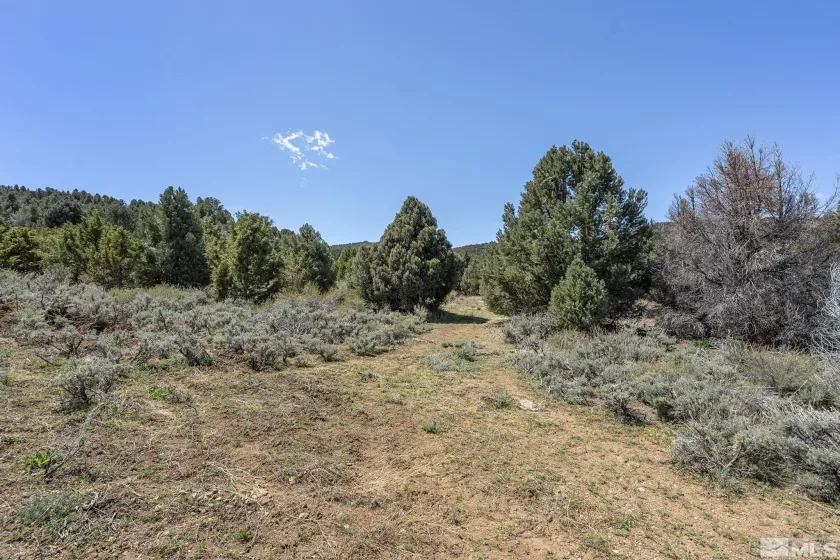 1850 Lousetown, Reno, Nevada 89521, ,Land,Residential,Lousetown,250004918