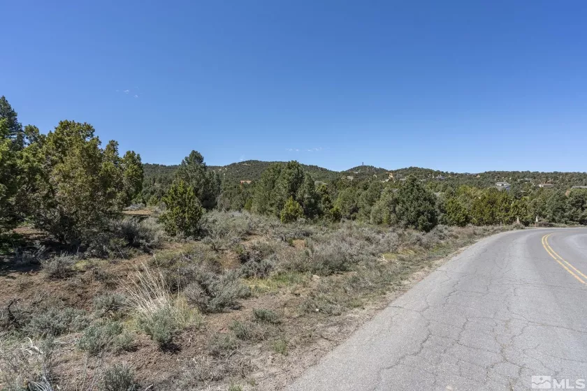 1850 Lousetown, Reno, Nevada 89521, ,Land,Residential,Lousetown,250004918