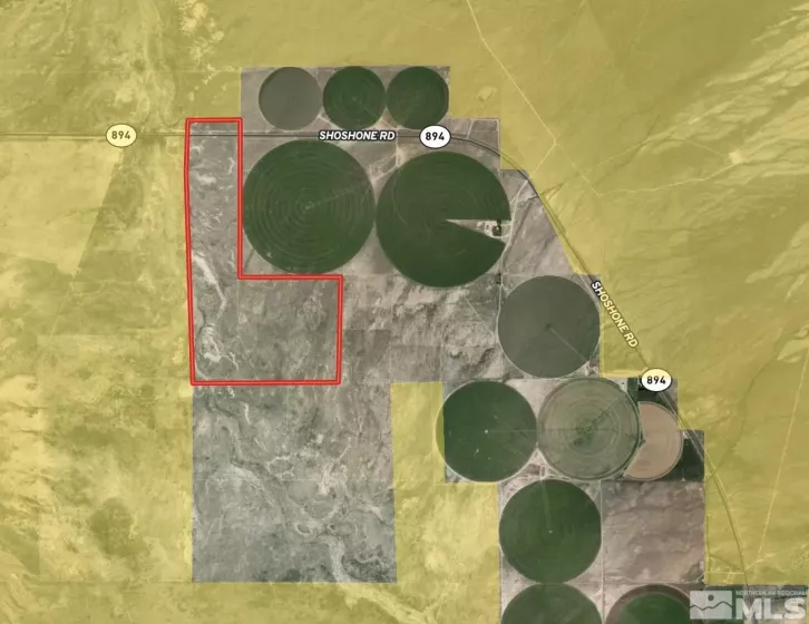358 Acres Shoshone, Baker, Nevada 89831, ,Land,Residential,Acres Shoshone,250005156