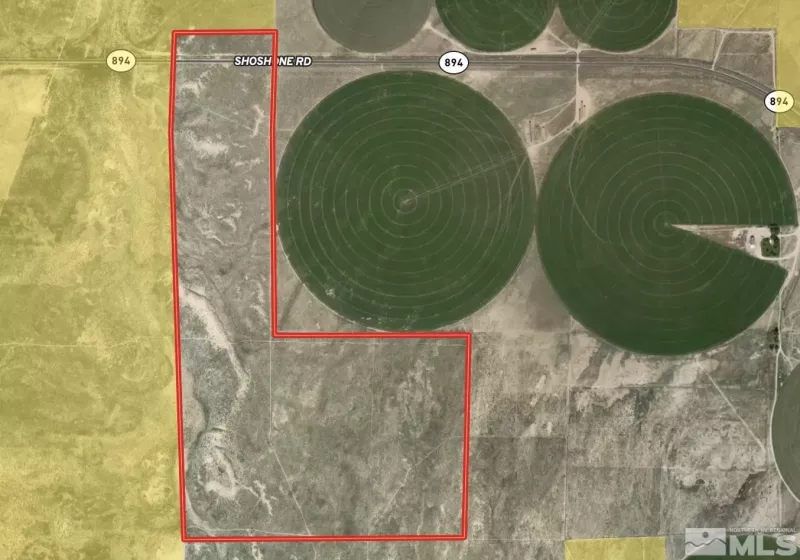 358 Acres Shoshone, Baker, Nevada 89831, ,Land,Residential,Acres Shoshone,250005156