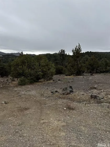 2035 Silverado, Reno, Nevada 89521, ,Land,Residential,Silverado,240015621