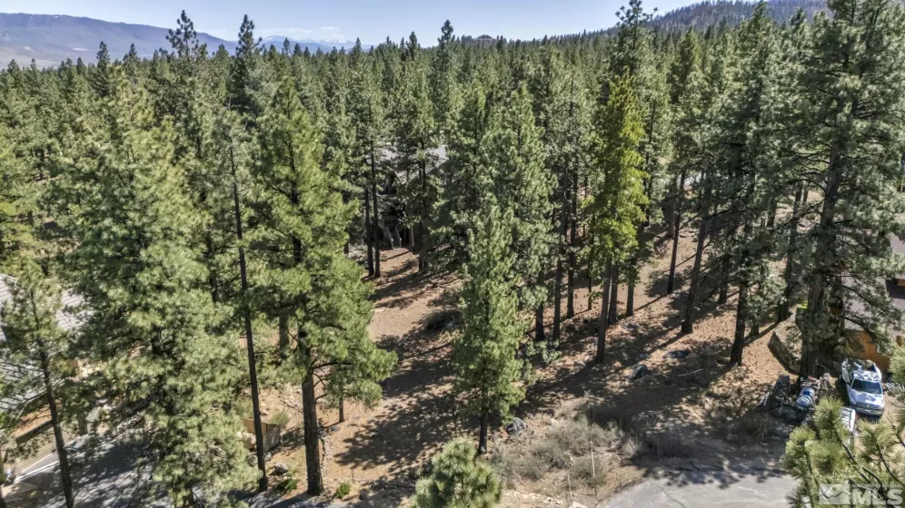 40 Myrtlewood, Reno, Nevada 89511, ,Land,Residential,Myrtlewood,250005263
