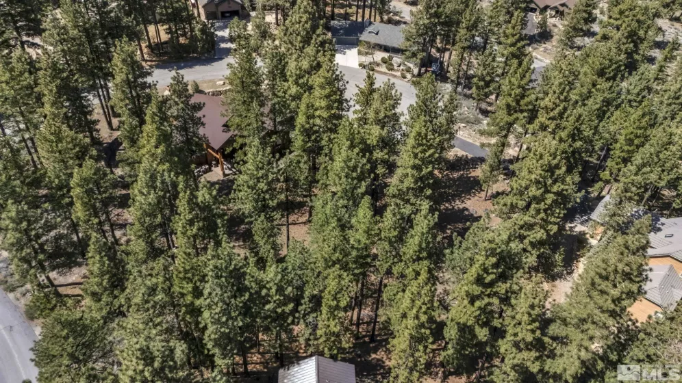 40 Myrtlewood, Reno, Nevada 89511, ,Land,Residential,Myrtlewood,250005263