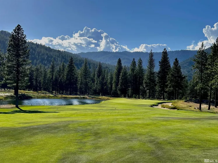 Golf Course