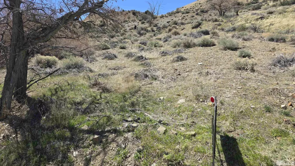 1920 Main, Virginia City, Nevada 89440, ,Land,Residential,Main,250005118