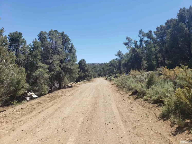 21741 Clemens, Reno, Nevada 89521, ,Land,Residential,Clemens,250005081