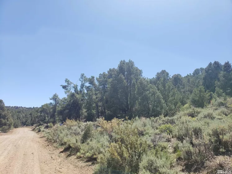 21741 Clemens, Reno, Nevada 89521, ,Land,Residential,Clemens,250005081