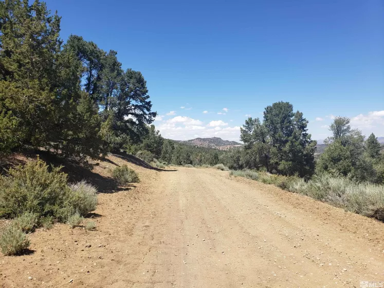 21741 Clemens, Reno, Nevada 89521, ,Land,Residential,Clemens,250005081
