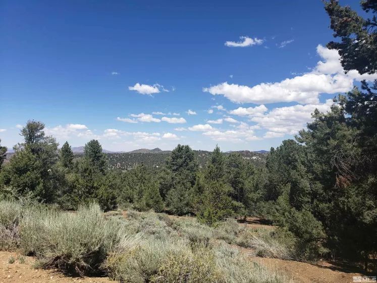 21741 Clemens, Reno, Nevada 89521, ,Land,Residential,Clemens,250005081