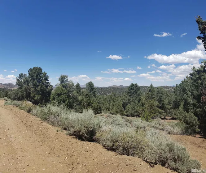 21741 Clemens, Reno, Nevada 89521, ,Land,Residential,Clemens,250005081