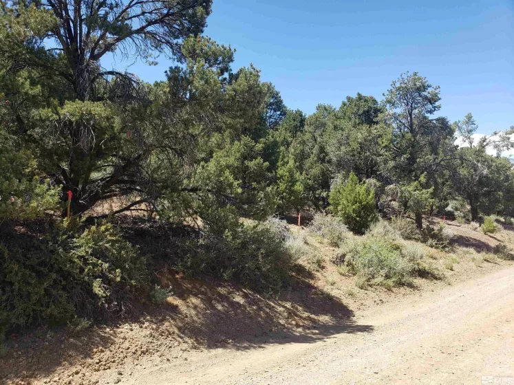 21741 Clemens, Reno, Nevada 89521, ,Land,Residential,Clemens,250005081