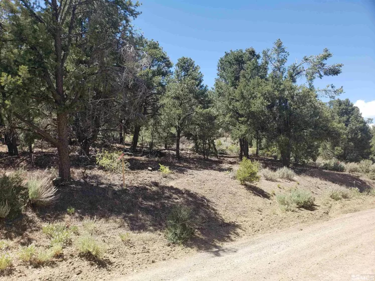 21741 Clemens, Reno, Nevada 89521, ,Land,Residential,Clemens,250005081