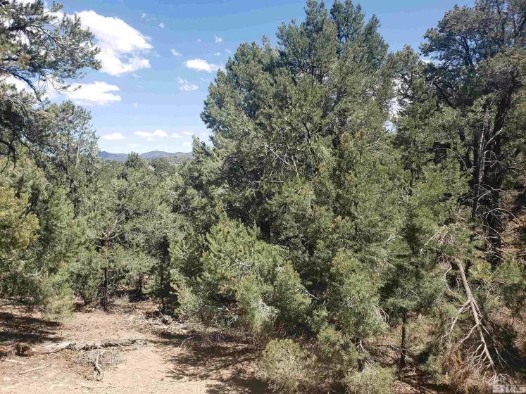21741 Clemens, Reno, Nevada 89521, ,Land,Residential,Clemens,250005081