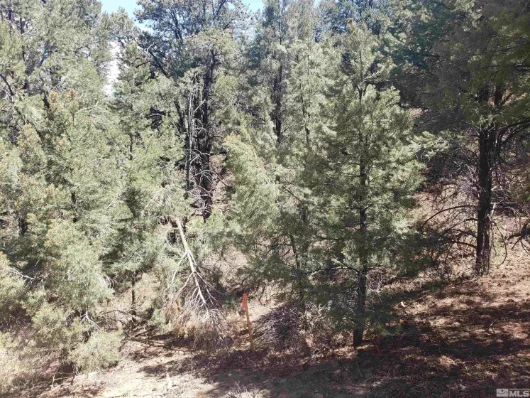21741 Clemens, Reno, Nevada 89521, ,Land,Residential,Clemens,250005081