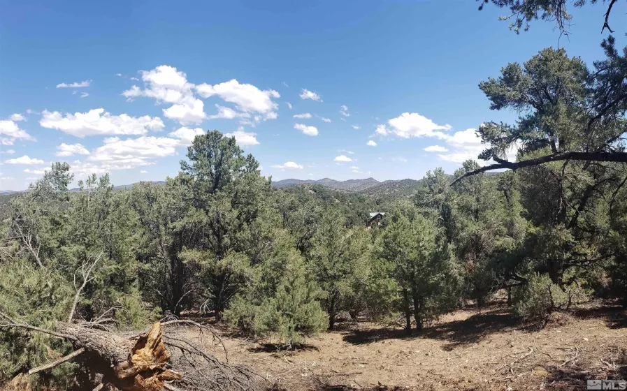 21741 Clemens, Reno, Nevada 89521, ,Land,Residential,Clemens,250005081