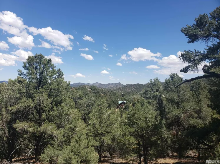 21741 Clemens, Reno, Nevada 89521, ,Land,Residential,Clemens,250005081