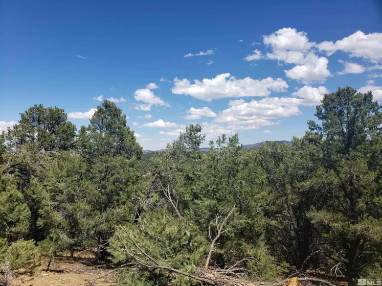21741 Clemens, Reno, Nevada 89521, ,Land,Residential,Clemens,250005081