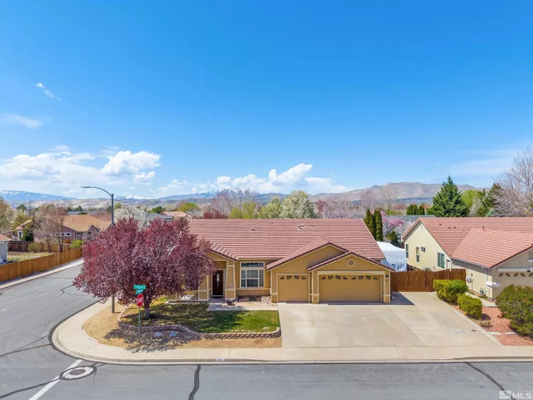 7951 Baleares, Sparks, Nevada 89436, 4 Bedrooms Bedrooms, ,2 BathroomsBathrooms,Residential,Residential,Baleares,250004993